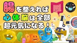 【腸活の効果】腸内環境を改善し整える方法とは