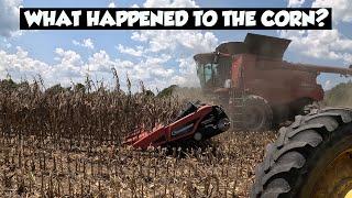 ANOTHER DAY HARVESTING CORN IN ALABAMA