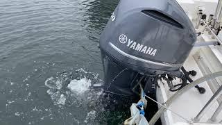 Yamaha Luxair 54466 - boatflow.jp