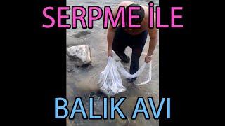 SERPMEYLE BALIK AVI (Serpme İle Balık Avı Nehirde) #Shorts