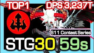 [S11 TOP1] Dark Lord STG30 59s Rotation / DPS 3,237 Trillion / Dragon Nest China