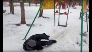 Как наебнуться на качелях