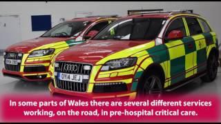 EMRTS Cymru RRV/Medic Identification