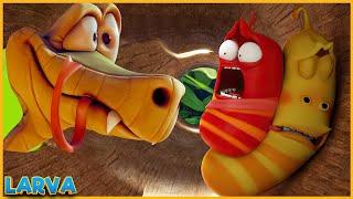 Snake Island  Larva Season 5 Larva Terbaru 2022  Funniest Cartoons  Larva Tuba Show