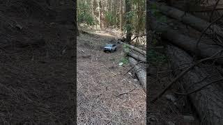 #rc going wild