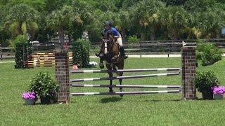 Ashley Fox Lea Farm Venice FL 07/26/14