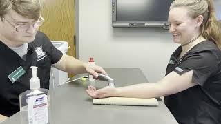 Dalton Barron Lab Skills Demo #1