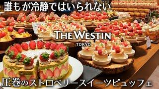 2025いきなり優勝！ウェスティン東京のザ・テラスが驚愕のストロベリーデザートビュッフェをスタート！夢のような苺スイーツ畑は圧巻の一言