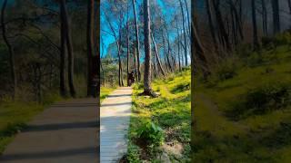 aao chale ️️ #travel #shortsfeed #trending #viralvideo #nature #shorts #trendingsong