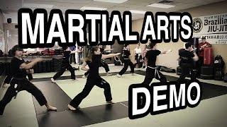 Team Alliance - Martial Arts Demo