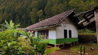 Luar Biasa !! Kampung Di Bawah Lembah Tersembunyi Di Tengah Hutan Jauh Ke Perkampungan Lain