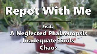 Repot With Me // A Very Chaotic, Improvised Repot