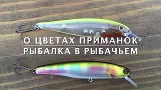 Тест Deps Balisong Minnow 100 SP в прозрачной расцветке.