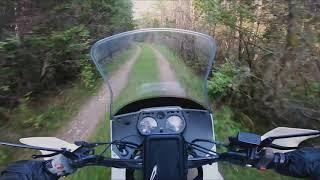 XL600V on the forest road (Honda transalp)