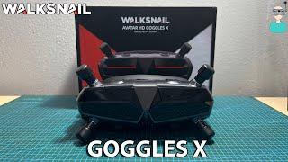 Walksnail Avatar HD Goggles X Hands On Review