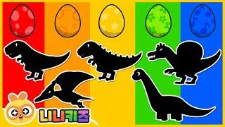 What kind of dinosaurs will be born? | Shadow Dinosaur Game | T-Rex? Stegosaurus? | Kids | NINIkids