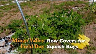 Mingo Valley Field Day - Row Covers for Squash Bugs