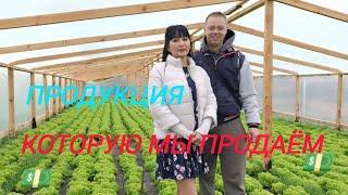 У нас выросло очень много зелени нужно будет везти на рынок продавать.