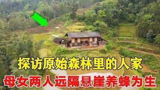 【合集】探访原始森林里的人家，80岁母亲居住悬崖深处，母女两人远隔千里靠养蜂为生！#乡村阿泰#美景#深山