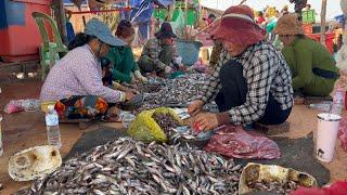 Khmer daily life on the road to Tonle Sap Lake