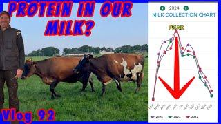 Dairy herds protein & fat %, daily farm life vlog