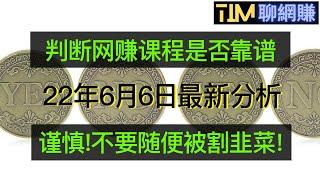 【2022年网赚】拆解网赚项目是否靠谱|网赚割韭菜|避免被割韭菜|shopify电商|網賺騙局|网赚避坑|网络赚钱|网赚实战|网赚教程|2022副业|网赚美元|網賺項目|網賺|網賺香港|TIM聊网赚