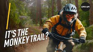 IT'S THE MONKEY TRAIL? Cannock Chase MTB. Much good fun.