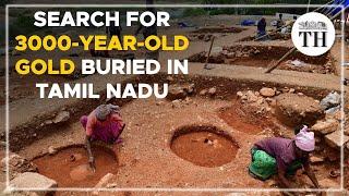 Search for 3000-year-old gold buried in Tamil Nadu | The Hindu