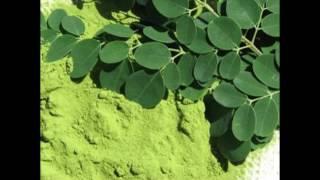 Preventative care with moringa health benefits