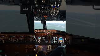 atterrissage sur Lyon LFLL #737 #flight_simulator #homecockpit