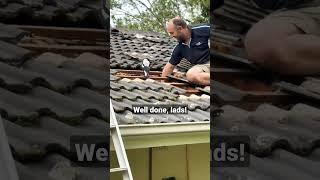 Only in Australia would you see this! #bird #magpie #funnyvideo #diy #animal #australia #work #love
