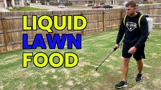 Liquid Lawn Food | Backpack Sprayer Application | Improve SOIL Health | 1 Week Lawn Scalp UPDATE