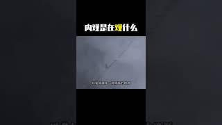 内观是在观什么