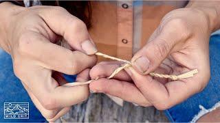 Make Natural Cordage: Quick and Easy Cordage for Survival