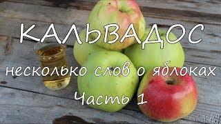 КАЛЬВАДОС. Несколько слов о яблоках. Часть 1.