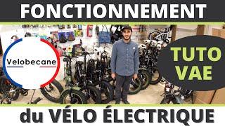  Tutoriel - COMMENT FONCTIONNE un VÉLO à ASSISTANCE ÉLECTRIQUE *VÉLOBECANE*
