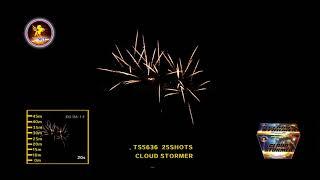 Cloud Stormer - 500 Gram Cake (T-Sky Fireworks)