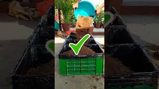 Best Pot For Vegetables & Fruit  Plants🪴 #vegetables #fruit #potselection