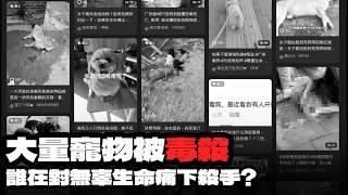 廣州動物投毒事件