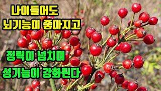 찔레나무-혈관벽에 죽처럼 혈전이쌓이는 죽상동맥경화증을 예방하며, 뇌기능이 향상되 건망증을 모르고, 남여의 정력이 넘치며, 성기능 감퇴가 없어진다