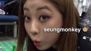 clc seungyeon being clumsy for 4 minutes straight