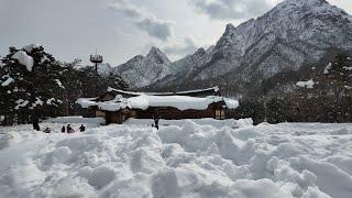 (4K)은빛 찬란한 설경에 모두 감동한 설악산과 신흥사 (Snow-covered Seoraksan National Park and Shinheungsa Temple)