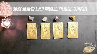 (타로)나의 취업운,합격운,이직운