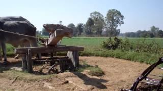 Waterwheel VID00019