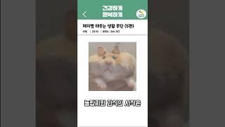 체지방 태우는 생활루틴 (2편) | 오늘의 건강 꿀팁!