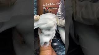 Covering Tattoo .. @Simba Tattoo Studio Hyd ️ 9493900047 #shorts #short  #youtube #youtubeshorts