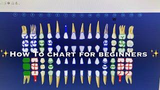 DENTAL CHARTING AND CODING FOR BEGINNERS