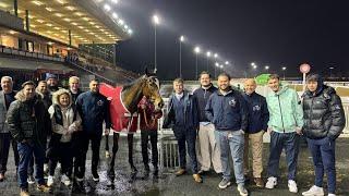 Holy Fire runs at Wolverhampton  An honest day as a racehorse owner