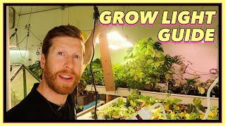 The LED Grow Light Guide for Houseplants