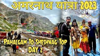 Amarnath Yatra 2023 | oxygen problem  Ep:2 | Pahalgam To Sheshnag Top | Complete information |